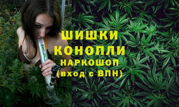 тгк Братск