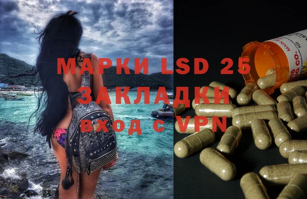 ГАЛЛЮЦИНОГЕННЫЕ ГРИБЫ Данков