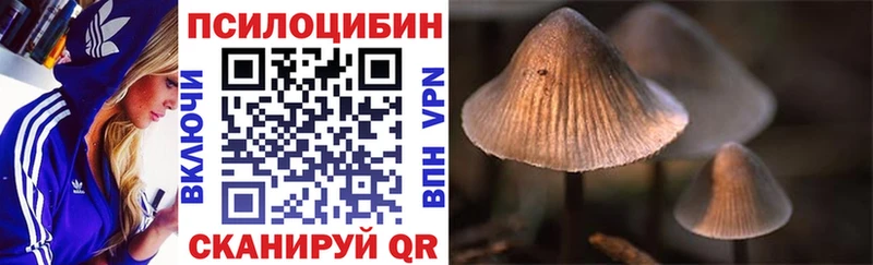 ссылка на мегу онион  Хотьково  Галлюциногенные грибы мухоморы 